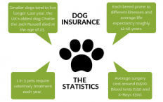 How dog insurance saves you thousands. | Forces Compare